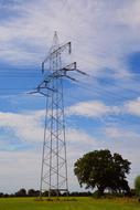 High Voltage Power Line and tree