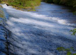 high water in nature in spring