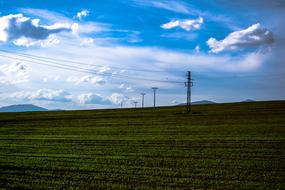 Field Columns