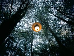 Beautiful lamp with light, among the beautiful green trees in the forest