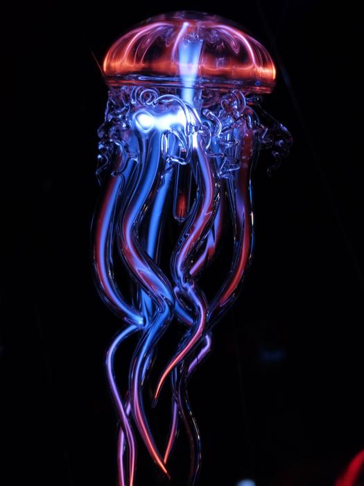 luminous neon jellyfish on a black background
