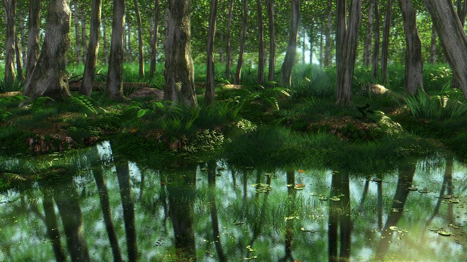 trees on the banks of the swamp