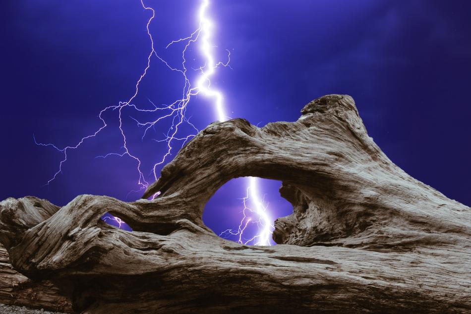 old tree trunk on lightning background
