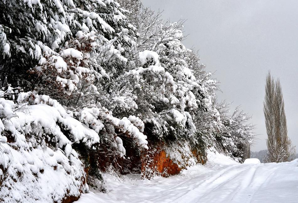 Winter Frost road