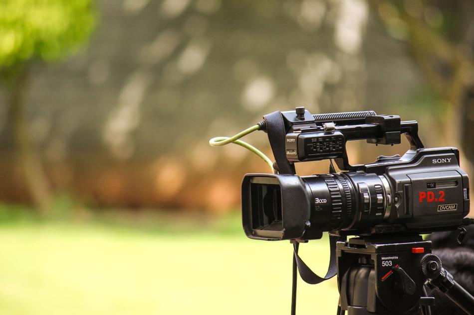 Black and red 'Sony' camera. at colorful, blurred background with the plants