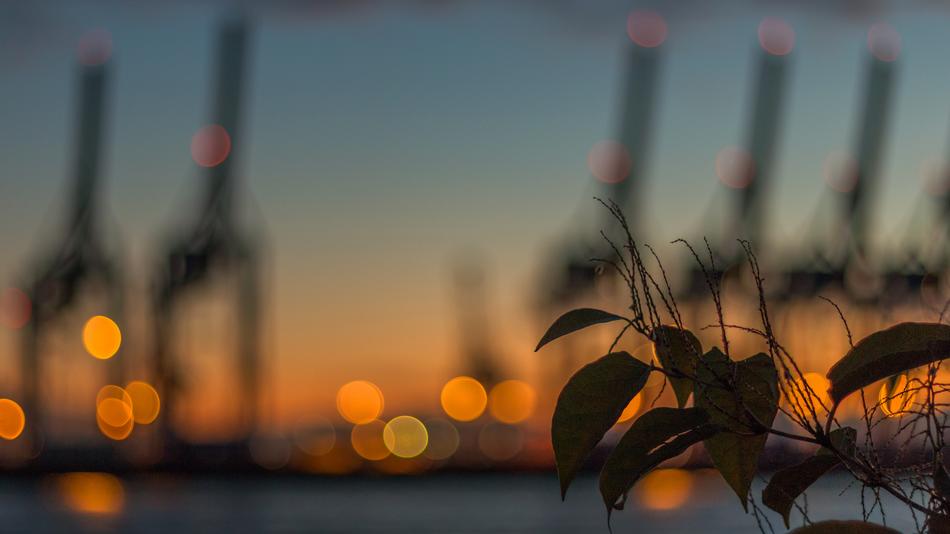 harbor cranes over elbe at night in blurred background