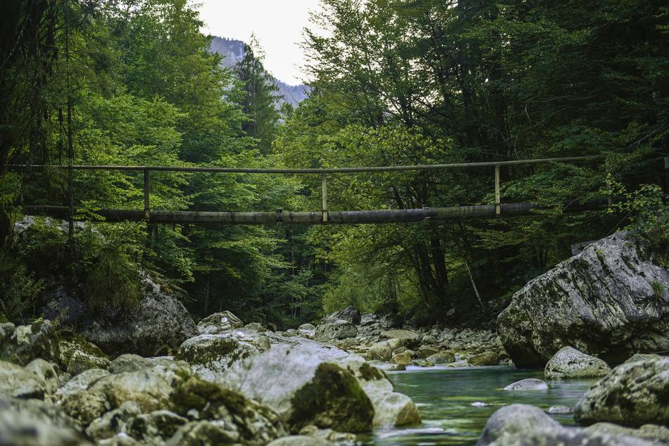 suspension bridge over a river in the jungle