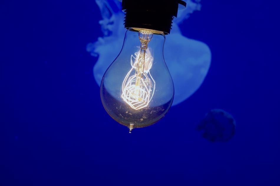 Vintage Filament Lamp Close Up