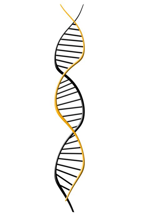 dna symbol on white background