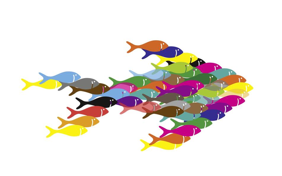 fish swarm together as an abstract illustration