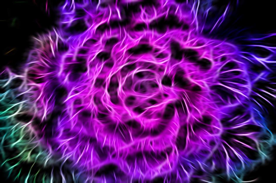 Close-up of the beautiful pattern with the colorful neon glow