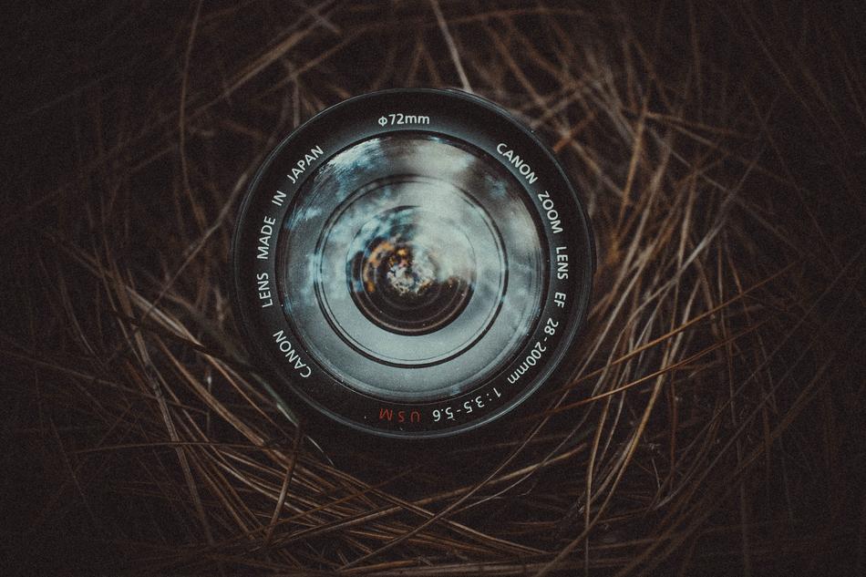 camera lens in hay