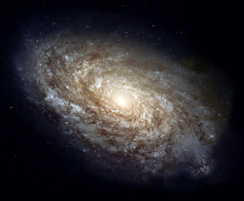 big Spiral Galaxy