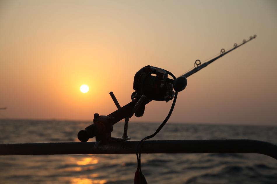 Sea Fishing Reel