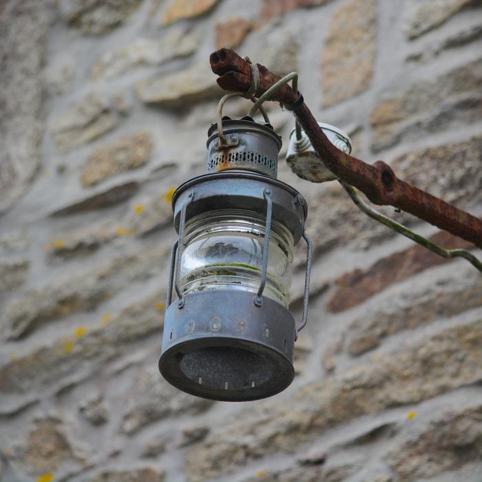 Lamp on branch and wall