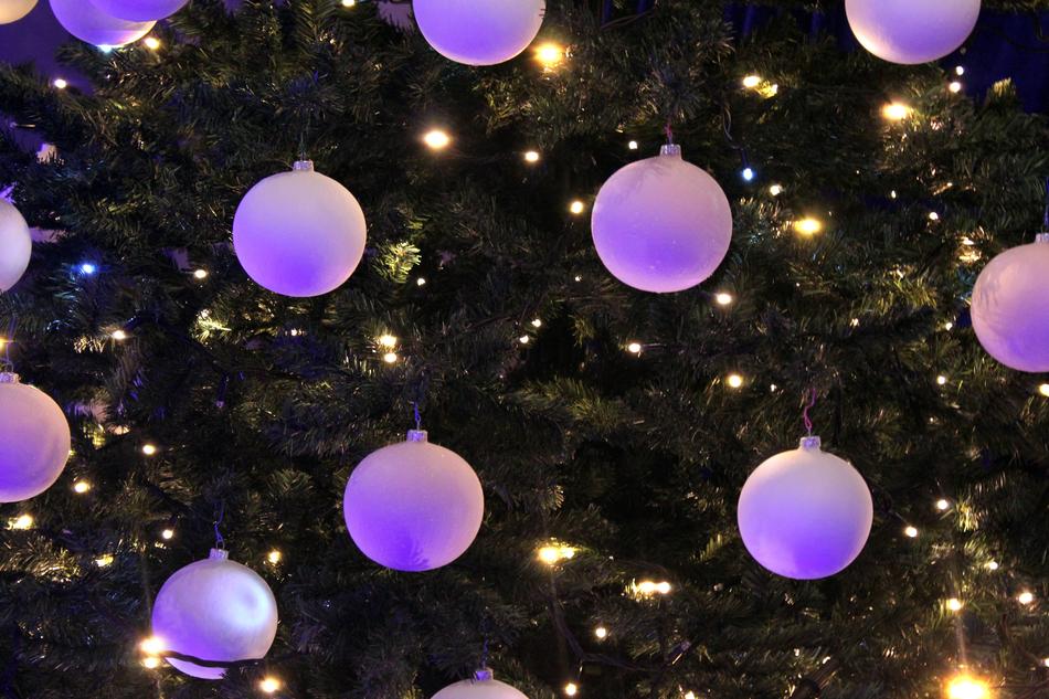 Lights Christmas violet