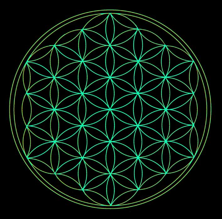 geometric mesh in a circle