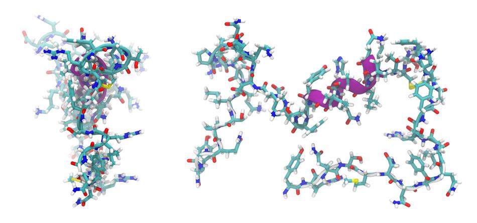 peptide molecule of adrenomedullin