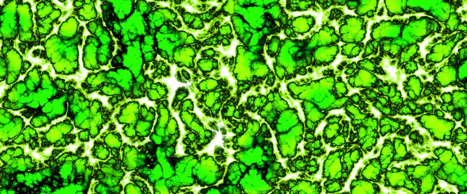 drawn green slice of the brain