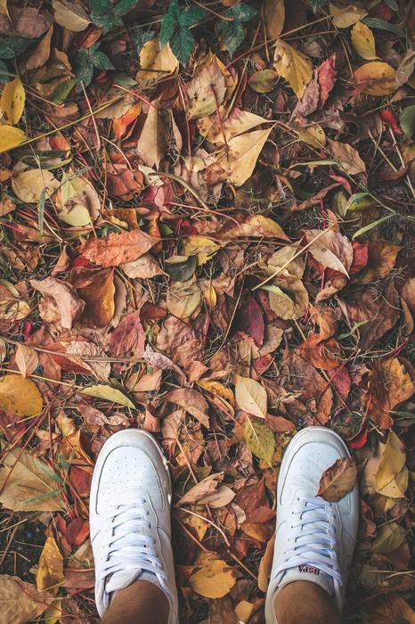 Leaves Autumn and foot