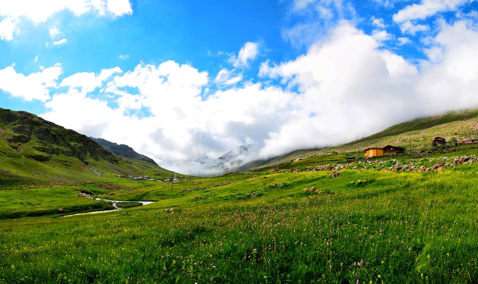 Eastern green Plateau