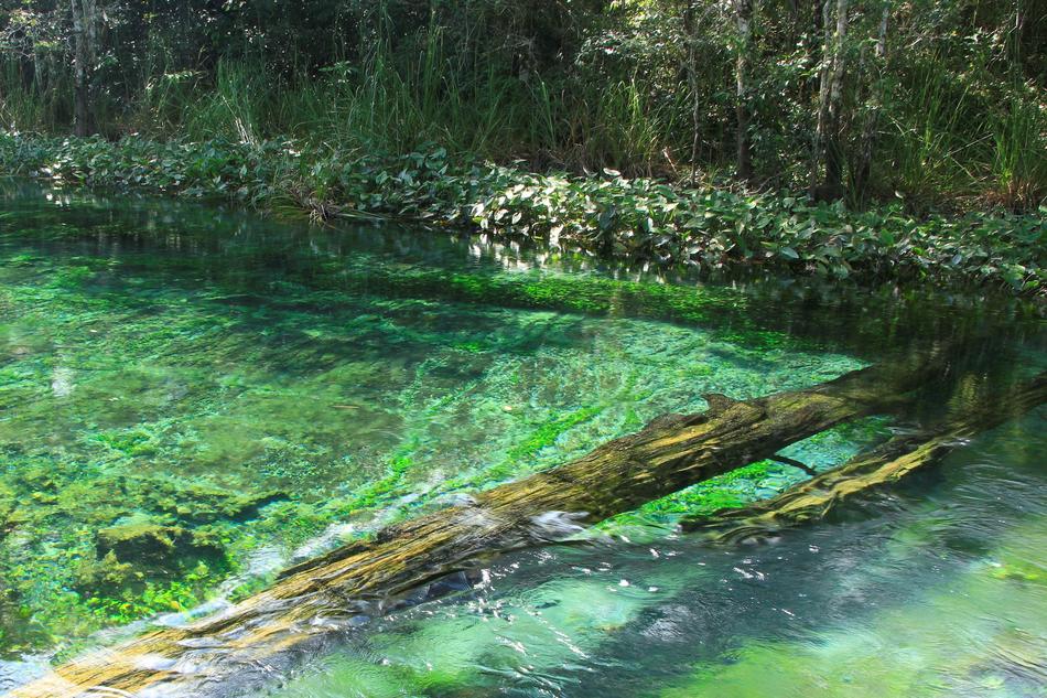 Spring River green