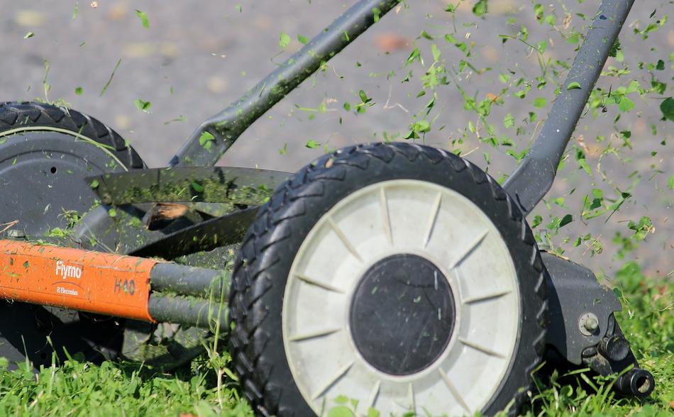 Hand Lawn Mower at work
