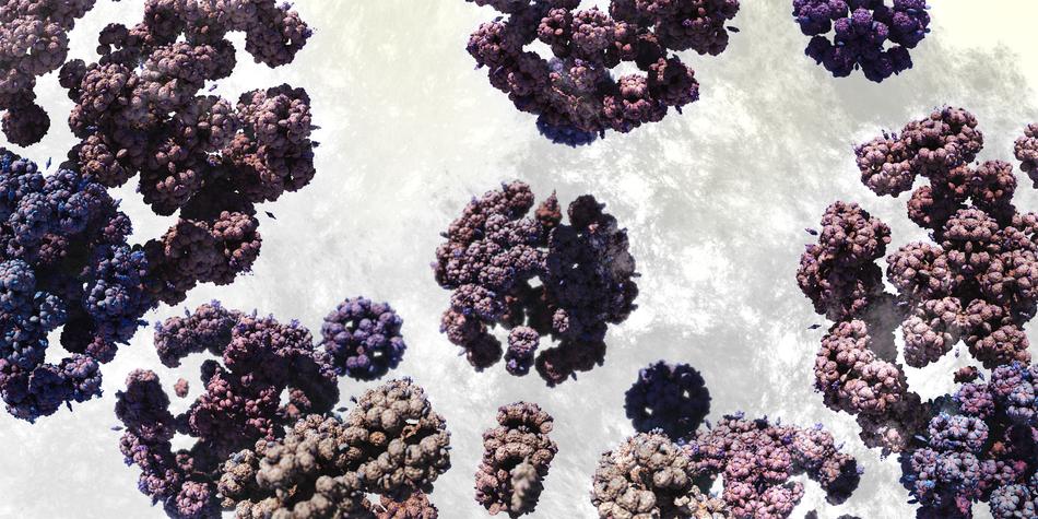 microscope microcosm
