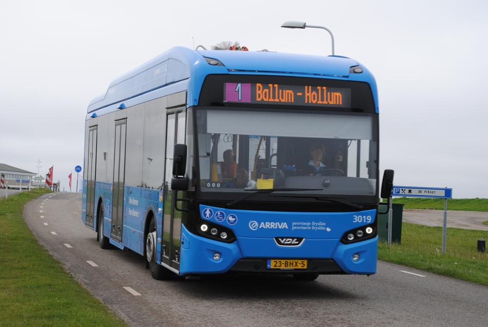 Bus Ameland Electric blue