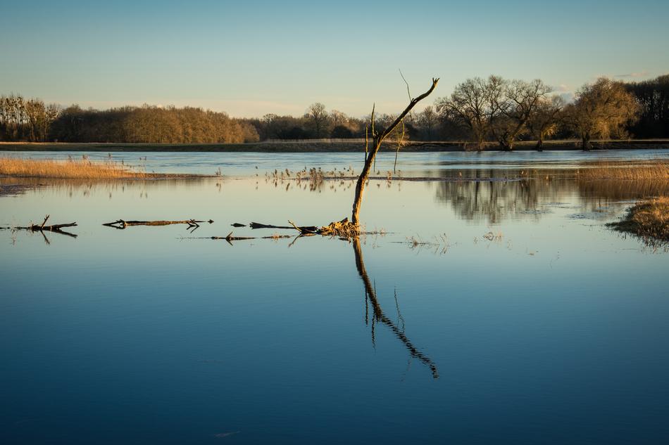 landscape of High Water in the Evening