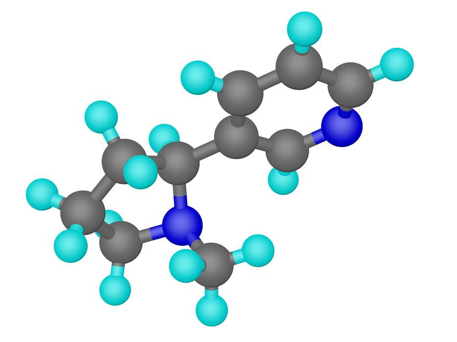 nicotine molecule 3d drawing