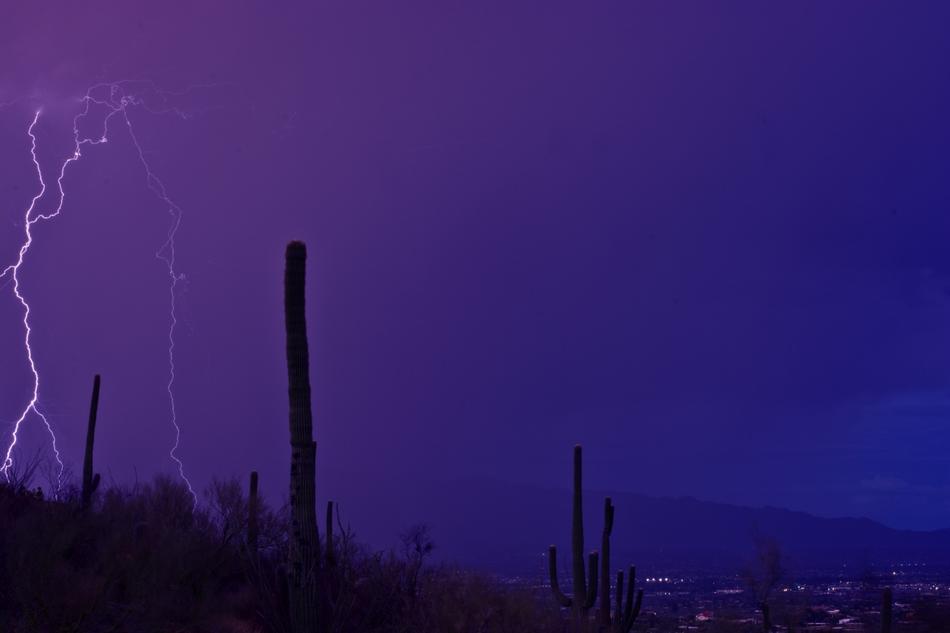 Lightning Desert
