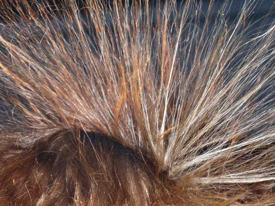 electrical charge in hair close-up