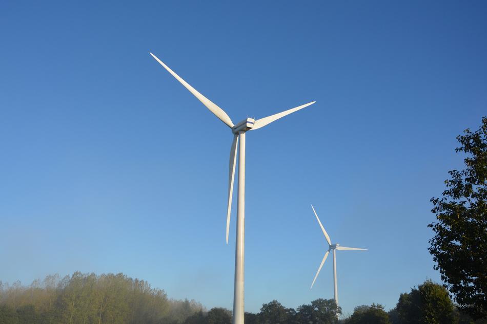 Wind Turbines Site and forest