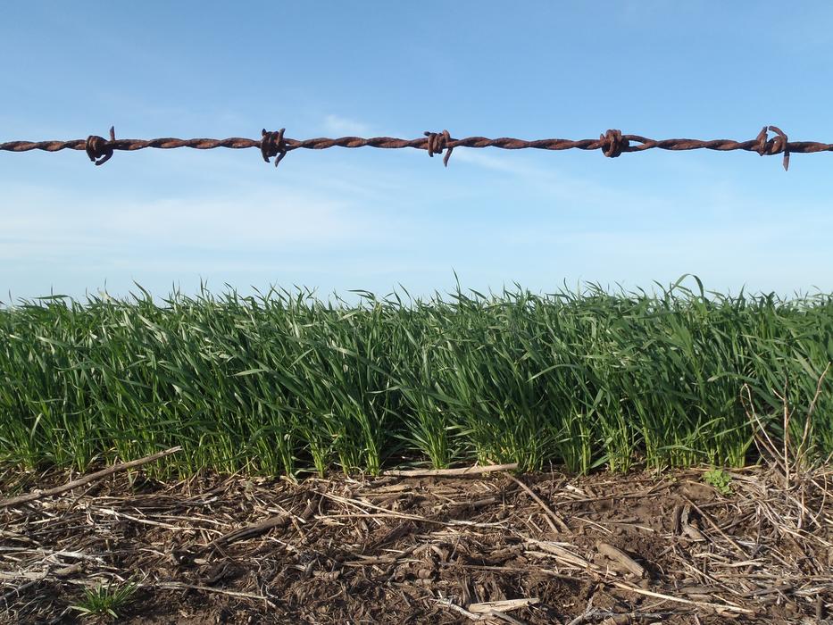 Field Agro