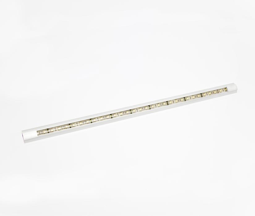 economic lamp with leds on white