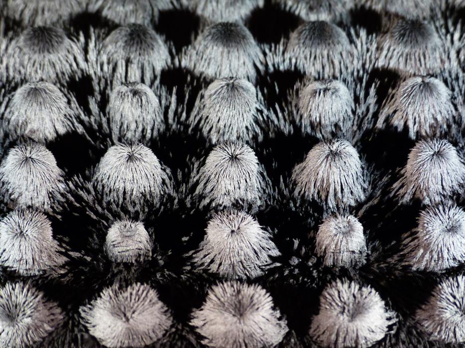 silver iron particles