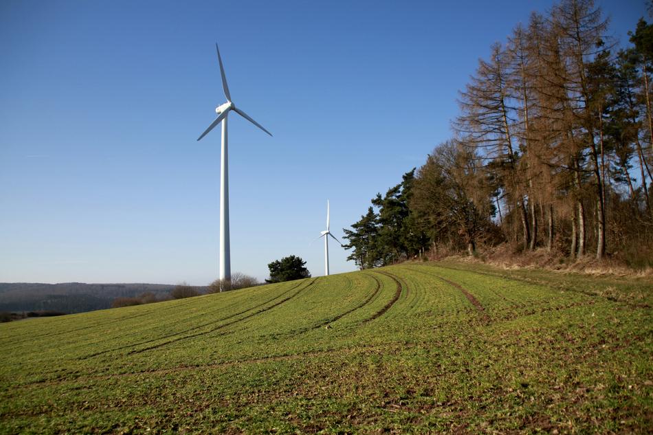 windmills near the forest