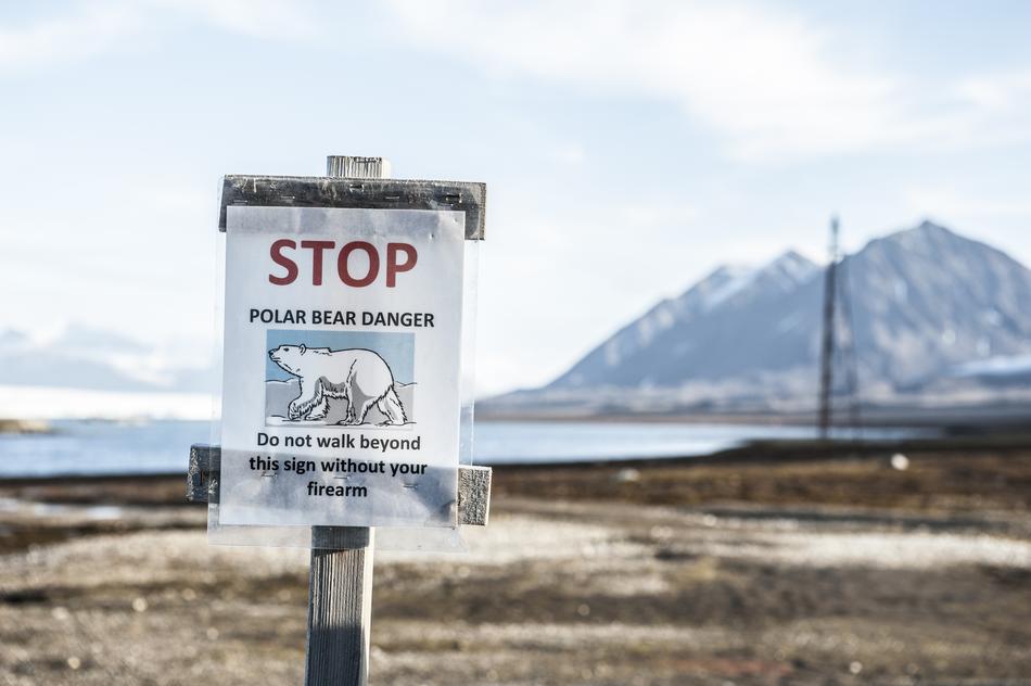 Polar bear sign on the beautiful Ny-Ãlesund in Norway