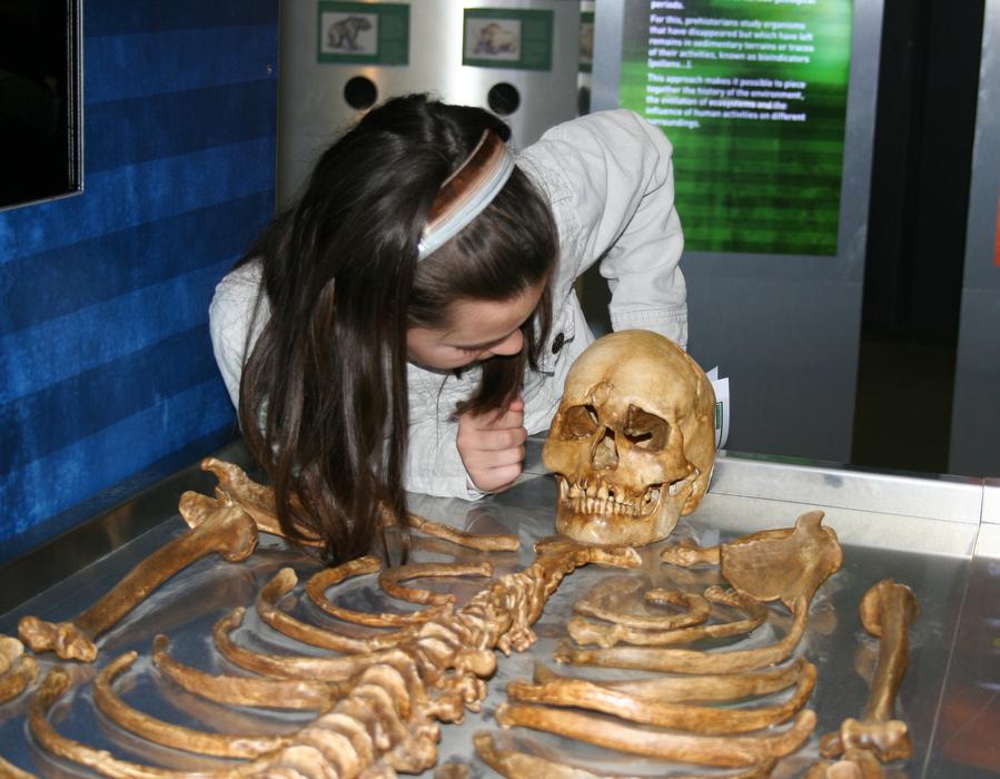 Child Science Observation of skeleton