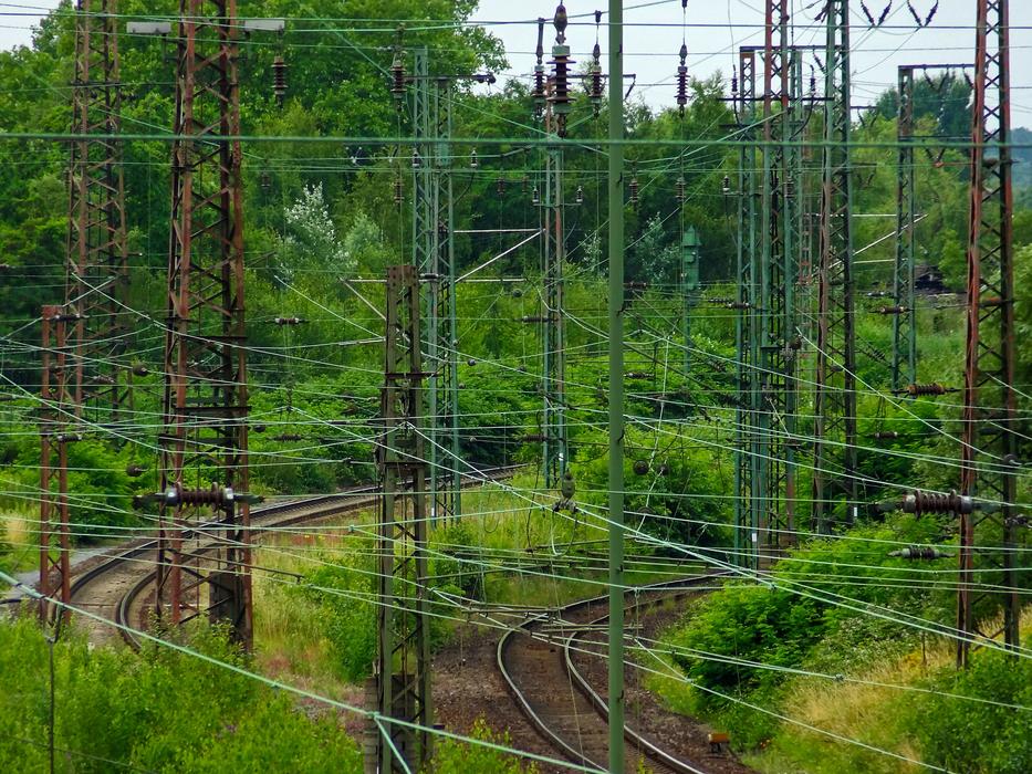 Catenary Power Cable forest