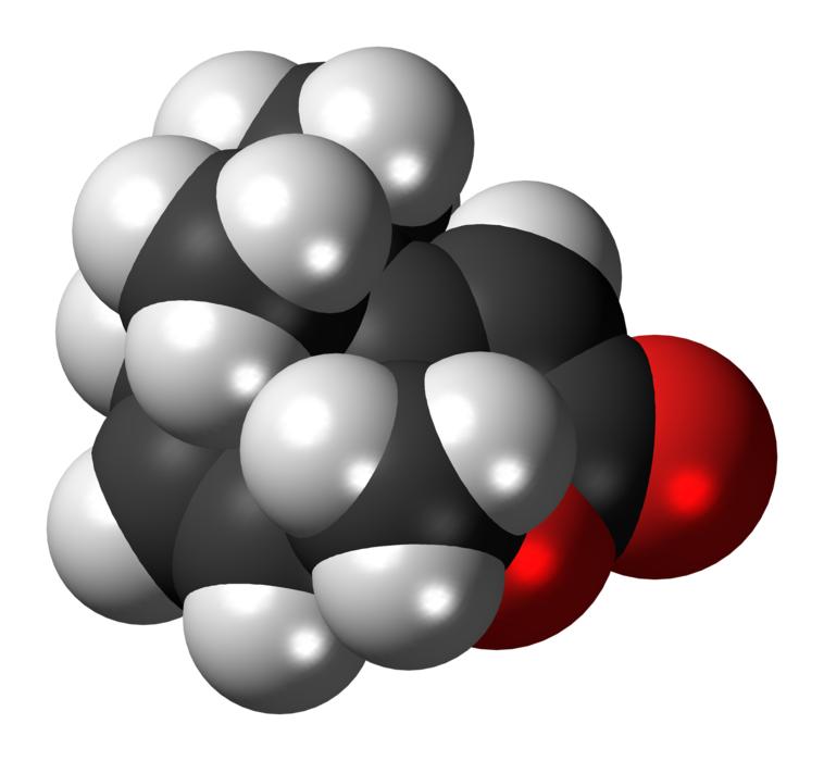 actinidiolide pheromone molecule 3d