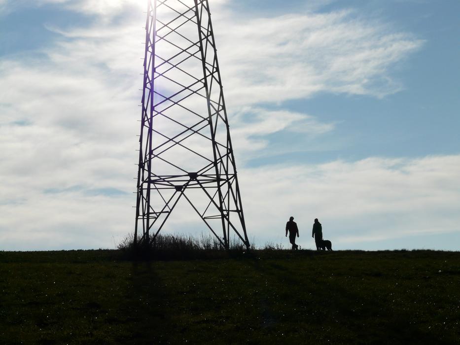 people with a dog near a metal pole