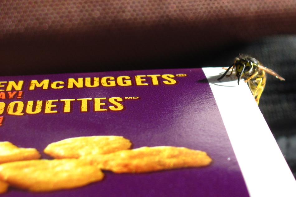Bee, on the colorful box with McNuggets of McDonalds