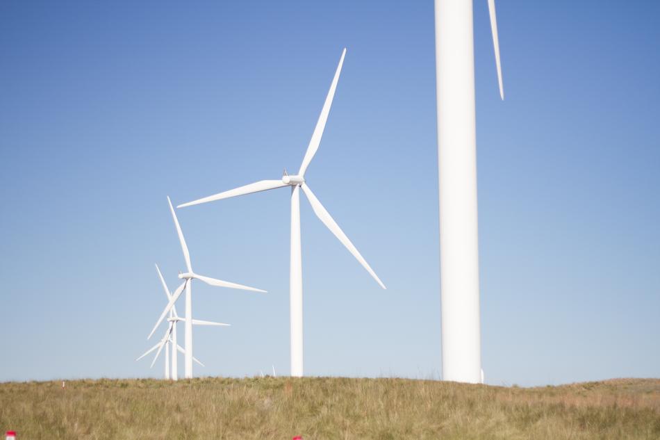 white wind turbines in a row in a field on a sunny day