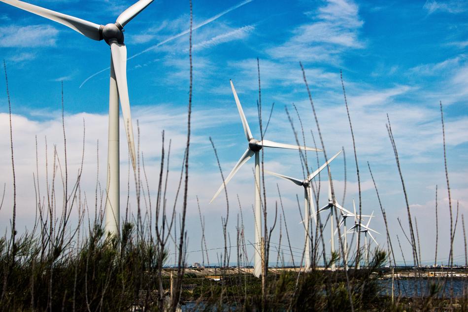 wind turbines on the shore of the reservoir