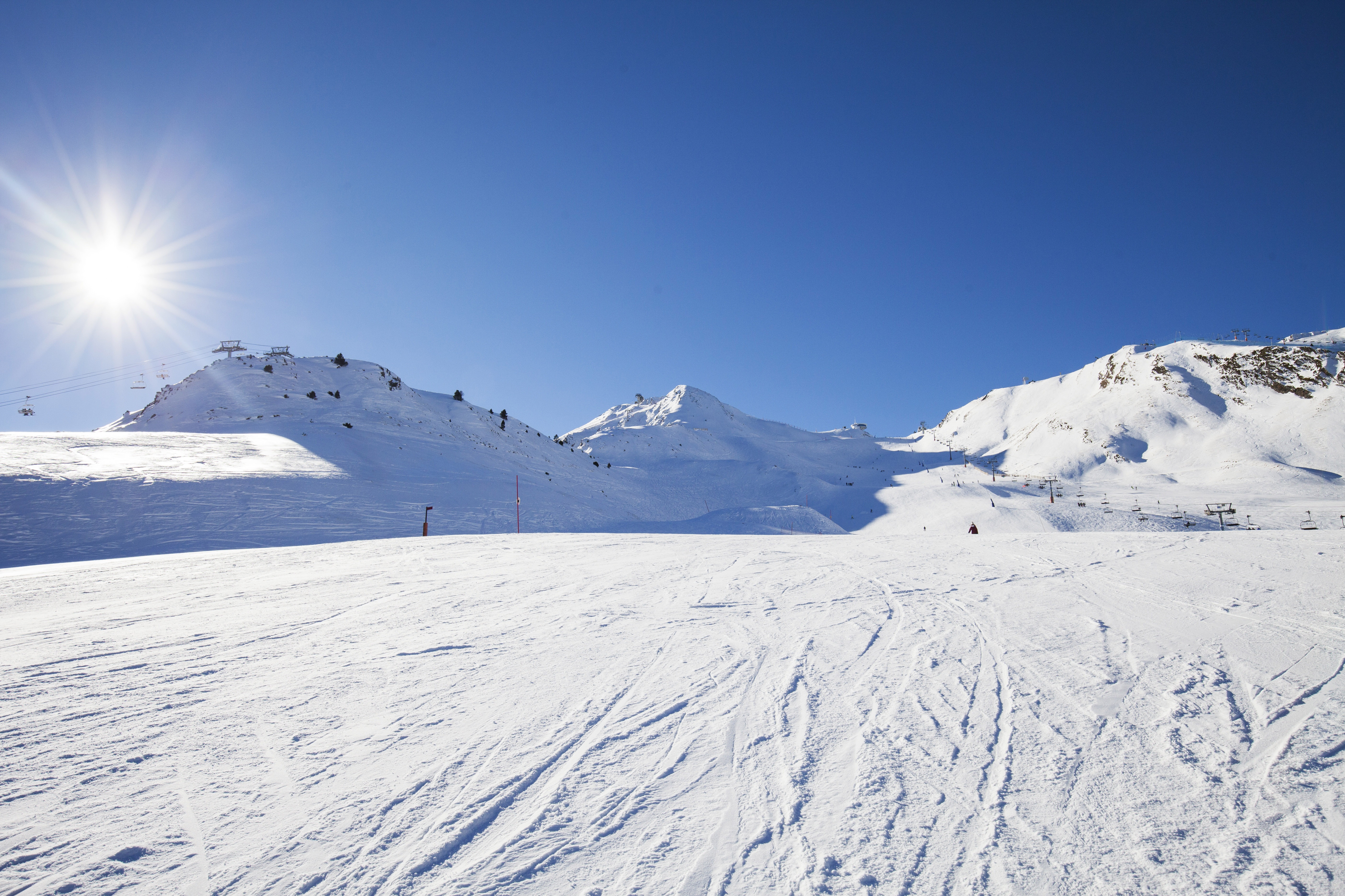 Ostrich Snow Skiing