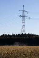 Beautiful landscape with the power lines on the yellow meadow, near the green trees