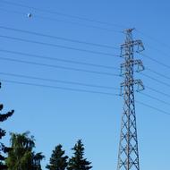 Power Line Electricity Pylon and trees