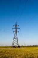 Power Lines on Grass Fields